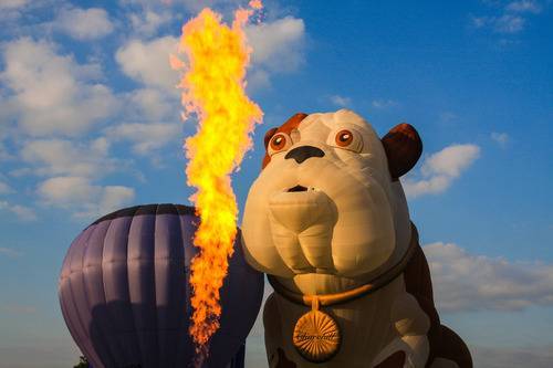 Churchill, Bristol Balloon Fiesta Churchill, Bristol Balloon Fiesta