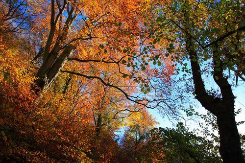 Blaise Castle Estate, Bristol Blaise Castle Estate, Bristol