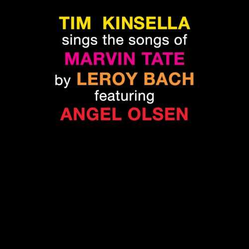 tim_kinsella_sings_the_songs_of_marvin_tate_by_leroy_bach