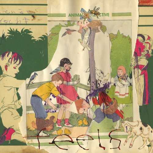 Allmusic album Review : While critics found it easy to lump Animal Collective in with the freak folk scene after the strumming madness of Sung Tongs, Feels may cause them to revise their opinions -- slightly. First, this is more of a rock record, especially early on; the frequent cymbal crashes and pounding drums leave little doubt. Second, Feels has less of the aimless meandering of many artists in the freak folk scene. AC can, and do, explode at any second, and their whirl of musical ideas -- mostly naturalistic, such as intricate vocalizing or tribal drumming -- can become dizzying, but gleefully so, not in a disorienting way. (Imagine Fiery Furnaces condensing an entire album down to three minutes and youll begin to understand the sound of the second song, "Grass.") So, while the folk tag has become less of an issue, freak still applies with no doubt. A core strength of the group is its ability to sound invigorated and bracing when exploring territory often surveyed in the past. Rock music can be a constraining form, especially at this late date, but the group sounds freer than ever before, almost as though theyve never bothered with rock in their lives, and have only happened upon a bare few LPs before beginning their recording career. (If so, one of those would have been by Mercury Rev, although Animal Collective are much less patient in building to a climax -- "The Purple Bottle" has at least a dozen of them.) As on Sung Tongs, the first half is active, direct, and punchy -- nearly overloaded with production and ideas -- while the second half explores quiet, abstract moods, often with only a few tremulous vocals accompanied by autoharp. feels