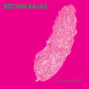 consciousness_1_2_dickie_domecon