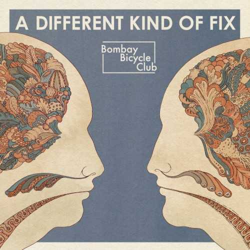 Allmusic album Review : Bombay Bicycle Clubs 2011 album A Different Kind of Fix is a melodically compelling work that builds upon the bands eclectic guitar-based indie rock sound. Featuring production from Jim Abbiss, who produced the bands 2009 debut I Had the Blues But I Shook Them Loose, Fix is a move away from the more acoustic vibe of 2010s Flaws and back toward an electric, oft dance-oriented sound. Tracks like the circular and funky "How Can You Swallow So Much Sleep" and the hummable "Shuffle" are perfect late summer afternoon jams that bring to mind a mix of 80s Peter Gabriel and Kate Bush. Elsewhere, you get the light prog-meets-shoegaze of "Bad Timing," the similarly blissed-out anthem "Take the Right One," and the yearning, percussive echo chamber number "Leave It." a_different_kind_of_fix