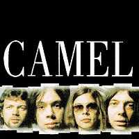 master_series_camel