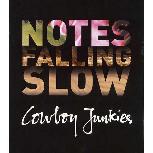 notes_falling_slow