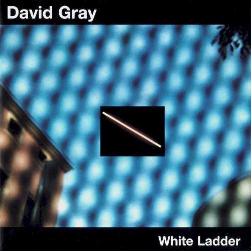 white_ladder