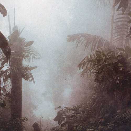 living_in_the_gleam_of_an_unsheathed_sword