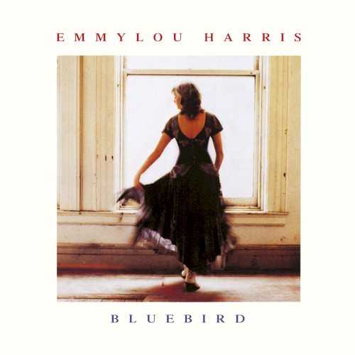 Allmusic album Review : Like most of Emmylou Harris albums, Bluebird is an expertly performed album, featuring some truly startling and affecting tour de forces. However, the material -- while featuring a handful of truly great songs, like John Hiatts "Icy Blue Heart" and her original "A River for Him" -- is too uneven to rank among her finest efforts. bluebird