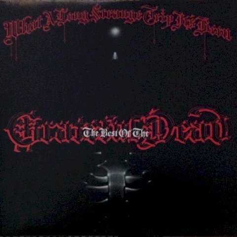 what_a_long_strange_trip_its_been_the_best_of_the_grateful_dead