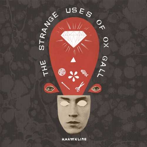 the_strange_uses_of_ox_gall