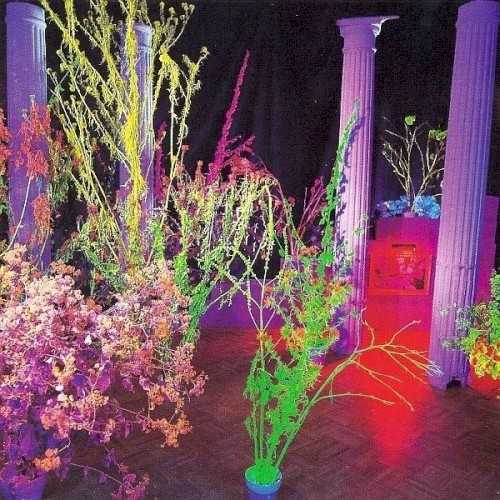 Allmusic album Review : Its cleaner and more produced than any of their records, which is one reason why many Hüsker Dü fans have never fully embraced their second double album, Warehouse: Songs and Stories. Granted, Warehouse boasts a fuller production -- complete with multi-tracked guitars and vocal, various percussion techniques, and endless studio effects -- that would have seemed out of place a mere two years before its release. However, Flip Your Wig and Candy Apple Grey both suggested this full-fledged pop production, and its to Hüsker Düs credit that they never sound like they are selling out with Warehouse. What they do sound like is breaking up. Although there was a schism apparent between Bob Mould and Grant Hart on Candy Apple Grey, they dont even sound like they are writing for the same band on Warehouse. But the individual songs on the album are powerhouses in their own right, as both songwriters exhibit a continuing sense of experimentation -- Hart writes a sea shanty with "She Floated Away" and uses bubbling percussion on "Charity, Chastity, Prudence, and Hope," while Mould nearly arrives at power pop with "Could You Be the One?" and touches on singer/songwriter-styled folk-rock with "No Reservations." Warehouse doesnt have the single-minded sense of purpose or eccentric sprawl of Zen Arcade, but as a collection of songs, its of the first order. Furthermore, its stylish production -- which makes pop concessions without abandoning a punk ethos -- pointed the way to the kind of "alternative" rock that dominated the mainstream in the early 90s. In all, it was a fine way for one of the most important bands of the 80s to call it a day. warehouse_songs_and_stories