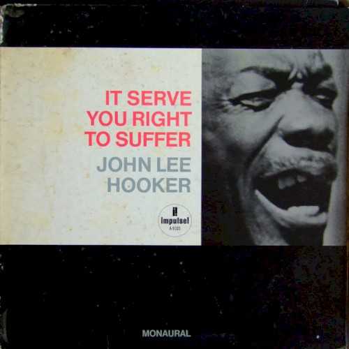 Allmusic album Review : Given Hookers unpredictable timing and piss-poor track record recording with bands, this 1965 one-off session for the jazz label Impulse! would be a recipe for disaster. But with Panama Francis on drums, Milt Hinton on bass, and Barry Galbraith on second guitar, the result is some of the best John Lee Hooker material with a band that youre likely to come across. The other musicians stay in the pocket, never overplaying or trying to get Hooker to make chord changes he has no intention of making. This record should be played for every artist who records with Hooker nowadays, as its a textbook example of how exactly to back the old master. The most surreal moment occurs when William Wells blows some totally cool trombone on Hookers version of Berry Gordys "Money." If you run across this one in a pile of 500 other John Lee Hooker CDs, grab it; its one of the good ones. it_serve_you_right_to_suffer