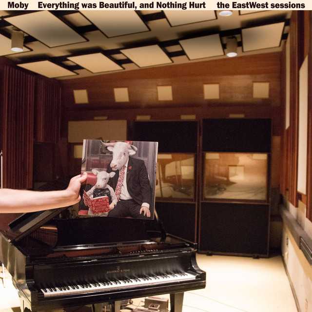 https://www.davegott.com/music/images/moby-everything_was_beautiful_and_nothing_hurt_the_eastwest_sessions.jpg