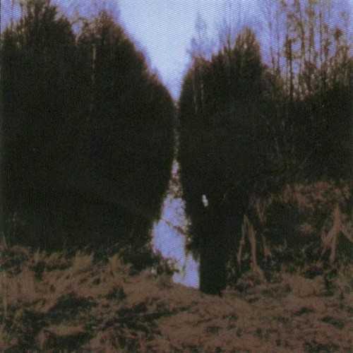 my_arms_your_hearse