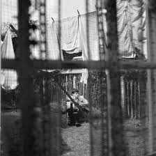 chaos_and_creation_in_the_backyard