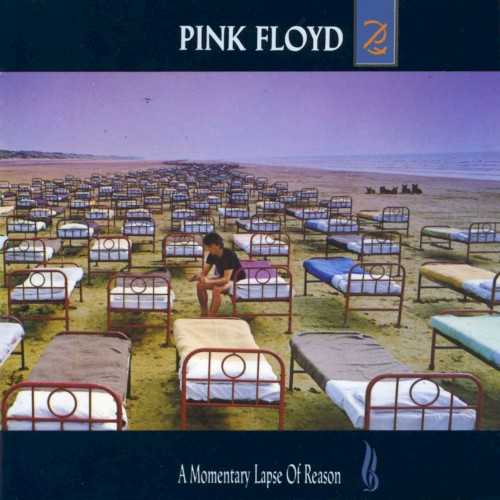 a_momentary_lapse_of_reason