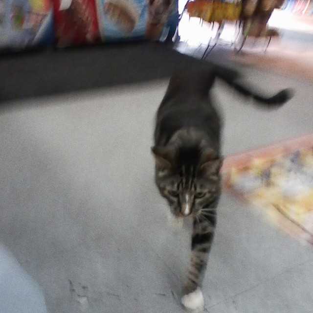 i_also_want_to_die_in_new_orleans