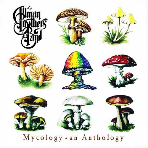 Allmusic album Review : Mycology: An Anthology collects highlights from the Allman Brothers 90s work for Epic Records. Although these latter-day recordings didnt quite reach the heights of the groups 70s heyday, they were surprisingly strong and Mycology is the best way for the curious fan to discover that. By rounding up the best moments from Seven Turns, Shades of Two Worlds, An Evening with the Allman Brothers Band and Where It All Begins, the collection offers a good distillation of an underrated portion of the groups career, thereby making it of equal interest to casual and hardcore fans alike. mycology_an_anthology