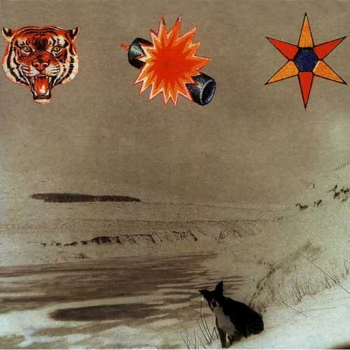 Allmusic album Review : That Oasis and Radiohead, the two biggest names in U.K. rock during the 90s, separately made claims in 1999 about creating a "Beta Band record" (even though neither band actually did) speaks volumes about the impact of The 3 E.P.s. With reference points literally all across the map, the Beta Band still managed a sound that was startlingly fresh, broadly appealing to fans of jam bands, indie rock, electronica, and Brit-pop, which is no small feat in and of itself. Rather than a full-length debut, per se, The 3 E.P.s is, as the name suggests, a collection of three limited-edition EPs which were released between 1997 and 1998 on the U.K. indie Regal Records. As such, the songs display an off-the-cuff charm which is as refreshing as it is unforced, revealing a natural progression by the band from humble folk/indie rock beginnings ("Dry the Rain," made famous in a brilliant scene in 2000s High Fidelity) to full-out psychedelic pop endings ("Needles in My Eye"). Throughout The 3 E.P.s, rather than employing the typical verse-chorus-verse song structure exhausted by 90s alternative rock, the Beta Band successfully mines Krautrock, the Canterbury Scene, hip-hop drum loops, and even 70s funk and soul to build their songs around infectious beats, grooves, and melodies. And while many of the songs cause instant head-bobbing (witness High Fidelity), they are also helped along by Stephen Masons alternately mantra-like and free-association vocal lines, which also manage to display a trace of sadness and introspection amid hippie-ish come-together sentiments. Despite a couple of experimental clunkers (the overly long instrumental "Monolith" and the rap during "The House Song"), it is precisely the Beta Bands skill at juxtaposition which prevents The 3 E.P.s in being merely an exercise in met expectations (like the vast majority of 90s alternative rock). Although much of the albums popularity stemmed from its contrast with the tedious state of music upon its release, The 3 E.P.s indeed transcends on many levels. Only a band without anything to lose or gain could create music like this, and in the end eclecticism has and will rarely sound better. the_three_e_p_s