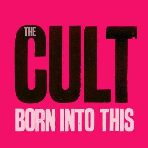 Allmusic album Review : Ever since 1987s Rick Rubin-produced Electric, the Cult have never shied away from reveling in the trashiest aspects of rock & roll culture. No doubt, Ian Astburys sojourn replacing Jim Morrison in the Doors -- or, as they were litigated into calling themselves, Riders on the Storm -- must have caused the 60s to resonate with him much more than singing a tribute to Edie Sedgwick, as he did on the Cults Sonic Temple. So in 2007, an age when pure hard rock was nothing to be ashamed of, the Cult roared back with the back-to-basics record Born into This. (As in the past, Ian Astbury and Billy Duffy are the Cult; bassist Chris Wyse and drummer John Tempesta are nothing more than hired guns here.) From the beginning of the first track, its clear that Born into This is going to rock as hard as Electric or 1989s Sonic Temple. The Cult have obviously quit the experimentalism and art rock asides of the 90s and 2000s, in favor of something that fits in well with both Astburys time fronting the Doors and Duffys unapologetic metal side project, Circus Diablo. Aside from the occasional flourish of their post-punk gothic past, most of the record is the dirtiest and heaviest hard rock theyve recorded since the 80s, like the trailer single "Dirty Little Rockstar" or the similarly trashy "Diamonds." Astburys vocals are as muscular as theyve ever been, although his quavering vibrato on the ballad "Holy Mountain" marks it as a latter-day Cult song. Duffys songwriting edge may have dulled slightly, but his lead guitar and the production of longtime British associate Youth make up for any inadequacy. born_into_this