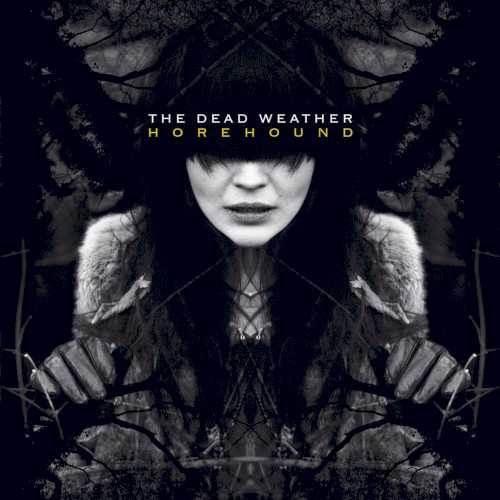 Allmusic album Review : Expectations for a project featuring members of the White Stripes, the Raconteurs, the Kills, and Queens of the Stone Age would almost have to run high. After all, these are all bands that find ways to draw on the classic tenets of rock without sounding completely indebted to the past. Yet the Dead Weather -- which combines the talents of Jack White, Jack Lawrence, Alison Mosshart, and Dean Fertita -- arent so much concerned with living up to expectations as they are about defying them. Theres a different kind of alchemy on Horehound than on any of the bandmembers other projects. Not only does White returns to his first instrument, the drums, he also trades in the high-pitched yelp he uses with the Stripes and Raconteurs for a deeper, at-times unrecognizable, voice on "I Cut Like a Buffalo," the lone Horehound track he wrote by himself. The Dead Weathers sound isnt so much heavy as it is thick with a tense atmosphere thats sustained throughout most of the album, and the group shuns the tighter structures of their other bands for a bluesy, jammy grind. Horehounds opening track, "60 Feet Tall," shows just how explosive this sound can be, from the teasing guitars and percussion that begin it to its lunging climax. Sexual tension is one of the few constants between the Dead Weather and White and Mossharts other bands, and they use it particularly well on "Hang You from the Heavens" and "Treat Me Like Your Mother," where their vocals and the lyrics "left, right, left, right" suggest a dance, or a fight, or something in between. Despite all the star power in this project, Mossharts vocals are the main attraction: she snarls, croons, and sighs, displaying all the charisma she has in the Kills plus more nuance. She takes her voice to places she hasnt explored with her main project: "So Far from Your Weapon," which she wrote on her own, boasts an hypnotic groove and an oddly jazzy undercurrent, thanks to her smoky singing and Whites rolling drums. Indeed, her voice and Whites are usually the loudest elements on the album, with Fertita and Lawrence ably filling in the gaps between the pairs towering presences. Horehounds loose-limbed immediacy often feels like a particularly inspired rehearsal, especially on the cover of Bob Dylans "New Pony," which gets amped up with huge grungy riffs and shouted backing vocals. This looseness also allows the band to indulge flights of fancy like the instrumental "3 Birds" and "Rocking Horse"s menacing surf-jazz. However, the Dead Weathers chemistry fizzles on the more unfocused tracks, and as gripping as their sound is, it can get claustrophobic. The songs that break from the pack are among the best. "Bone House" layers programmed and live drums with creepy falsetto vocals and some great guitar work from Fertita, and "Will There Be Enough Water?"s drifting acoustic blues provides the calm after Horehounds storm. Given the fact that the Dead Weather formed on a whim and recorded these songs in a matter of weeks, Horehound is a compelling album, and one that shows that the bands members bring out the best in each other, albeit in unexpected ways. horehound