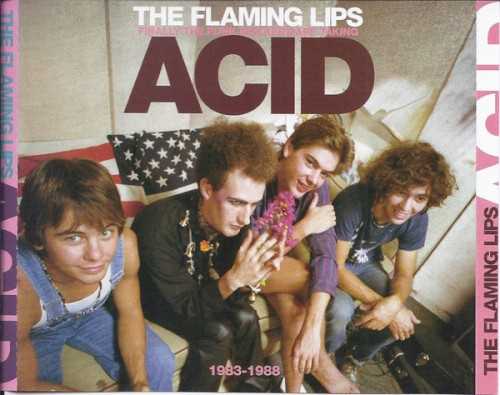 finally_the_punk_rockers_are_taking_acid_1983_1988