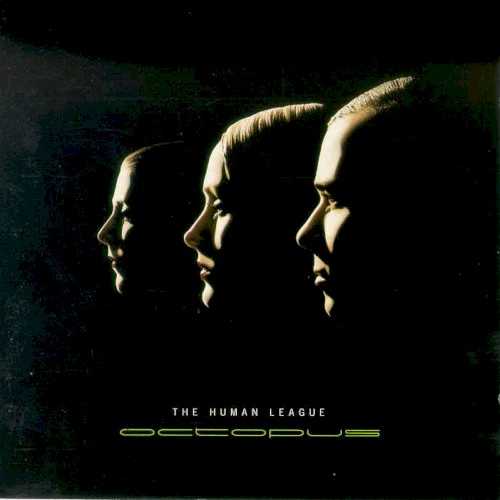Allmusic album Review : The Human League hadnt learned any new tricks in the four-plus years it took to craft another one of their synth-pop collections. The best track was the most unusual, when Philip Oakey took a backseat and let one of his fellow vocalists -- probably Joanne Catherall, though her singing is interchangeable with Susanne Sulleys -- handle a delicately arranged love song, "One Man in My Heart." But more typical was the song that followed it, "Words," in which Oakey whined at considerable length about undetailed wrongs done to him in childhood. Even with a good dance beat, such stuff was hard to stomach, and most of the blips and blats that filled up the tracks had been used to better purpose on earlier recordings. octopus