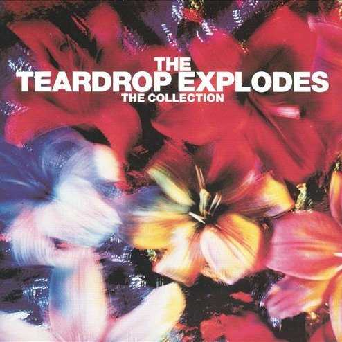 Allmusic album Review : Less than a year after the U.K. wing of Mercury issued The Greatest Hit, the Spectrum label followed up with The Collection, yet another overview of the Teardrop Explodes brief lifespan. The greatest (albeit shoddy) advantage this mid-line disc holds over The Greatest Hit is the track count, as it has three more songs. The overlap between the two -- five songs -- is surprisingly unsubstantial when considering that the band only released two studio albums during its existence. As a result, the two compilations provide rather different looks at the band, so if youre deciding between them for a beginning route into the band, its a crapshoot. The Collection misfires with the exclusion of "Ha Ha Im Drowning," "Reward," "Sleeping Gas," and "You Disappear From View." However, it does include the incredibly bizarre and bizarrely incredible "Bouncing Babies," which Mercury failed to include on The Greatest Hit. Still, the best place to go first with the band is either Mercurys great 2001 remaster of Kilimanjaro or the U.S.-distributed Kilimanjaro/Wilder two-fer.