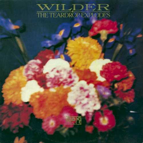 Allmusic album Review : Despite the flux they were going through, the Teardrops somehow got it together to record the heavily-hyped Wilder, which unlike its predecessor did nothing in terms of sales or smash singles, outside of the semi-successful shimmering keyboard/crunch of "Passionate Friend." This isnt for lack of talent on the bands part, and the trademark kicky arrangements and horns appear throughout. However, unlike the joyous outpourings of Kilimanjaro, Wilder sounds distanced. Cope doesnt come across as the lead singer so much as he does someone singing with the music, ironic given that he wrote everything on this album. As a subtler pleasure, though, Wilder offers up some good stuff, with more cryptic compositions and performances throughout, while Clive Langer takes over full production after only doing a few on the first album. Strangely, some performances sound like where Sting eventually took the Police on Synchronicity, musically if not vocally, like the layered attempts at tribal drumming on "Seven Views of Jerusalem." More measured, sometimes stiff songs like "Falling Down Around Me" make the overall mood more fragmented, while some of Balfes keyboards sound like theyre only there just because. When it connects, though, Wilder rocks just fine. The concluding track, "The Great Dominions," is one of Copes all-time best, with a sweeping, epic sense of scope and sound. The angular funk of "The Culture Bunker" has both some fine guitar and a sharp lyric or two on Copes part -- the Crucial Three he refers to was his bedroom-only act with Ian McCulloch and Pete Wylie. Other high points include the moody synth shadings on "Tiny Children," where Balfes work comes through best of all, and Dwyers generally sharp drumming throughout, keeping the beat well.