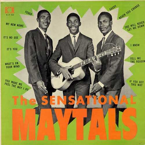 Allmusic album Review : Like so many of Jamaicas greatest groups, the Maytals launched their career at Studio One, and then like so many that found fame, the group then switched its allegiance, first making the studio rounds, before spending a spell with Prince Buster. Before 1964 was out, however, the trio had linked with Byron Lee for whom it recorded its first Jamaican chart-topper, "Its You." That hit was finally pushed off the top of the charts by the singles flip side, the soulful, doo wop ballad "Daddy." By the time the Maytals released their second single, the skanking "Fever," all of Jamaica was infected, and from there on out the hits rained down. The gospel-inflected jubilance of "Never You Change," its polar thematic opposite, the adamant "If You Act This Way," and the exuberantly goofy "My New Name" all rocketed up the Jamaican chart. The trios exhilarating gospel-flavored vocals suited any style, be it the sweet blues of "Its No Use," the jazzy brass-drenched "Whats on Your Mind," the fabulous R&B; found on "I Know," which also boasts a superb solo from guitarist Ernest Ranglin, the mento that inspires "She Will Never Let Me Down," and, of course, the many propulsive ska numbers. So strong were these singles that before 1965 had drawn to a close, an impatient Lee bundled up a batch and pressed them onto a full-length, appropriately titling the set The Sensational Maytals. The group certainly was sensational, and although many more hits were still to come, this album was the perfect portrait of the group at its ska height. the_sensational_maytals