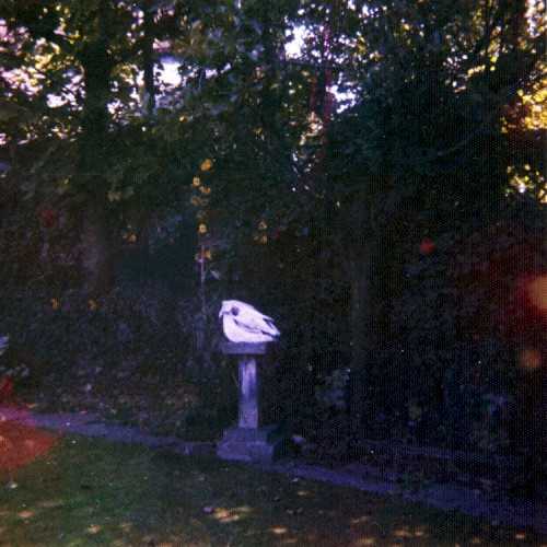 Allmusic album Review : Wolf Alice mastered the glossy and grungy sides of alt-rock on My Love Is Cool, with songs like "Bros" and "Moaning Lisa Smile" earning them accolades that included a Grammy nomination. On Visions of a Life, they explore the wider -- and sometimes wilder -- facets of their music. To that end, they recruited producer Justin Meldal-Johnsen, who toured with the famously chameleonic Beck as his musical director and bassist, and also produced albums for acts as disparate as M83, Paramore, and the Raveonettes. With his help, Wolf Alice both narrow and widen their focus, isolating their bratty, fizzy guitar-pop on "Yuk Foo," "Space & Time," and "Beautifully Unconventional," and delving into the trippier side of their music on "Formidable Cool," "Sadboy," and the title track, which flirts with prog and metal in its ambitious sweep. While these songs reaffirm that Wolf Alice can pull off almost any style of music, Visions of a Lifes most convincing moments build on My Love Is Cools forays into dream pop. Inspired by a late friend of the band, the aptly named opener "Heavenward" is so gorgeous that its tempting to want Wolf Alice to concentrate on this side of their music in the future. Similarly, "Planet Hunter" and "St. Purple & Green" are potent reminders of just how well the band does huge moments, while Ellie Roswells whispers bring intimacy to loves euphoric beginnings on "Dont Delete the Kisses" and its rocky end on "Sky Musings." A reflection of a young band trying out all its possibilities, Visions of a Life is more scattered than My Love Is Cool, but its best songs hint at even more potential. visions_of_a_life