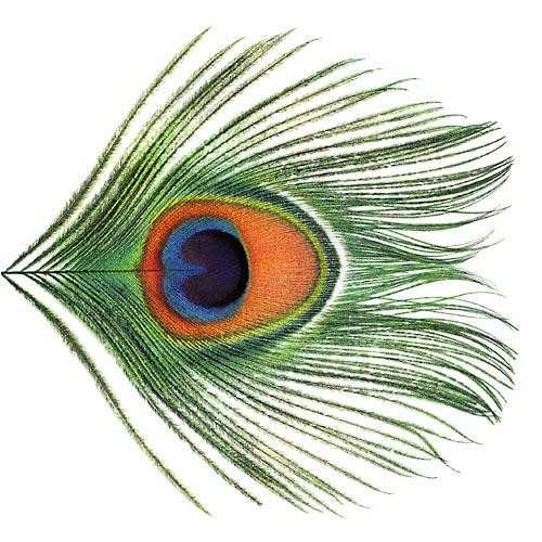 Allmusic album Review : Seven years is a long time between records, so it shouldnt come as a surprise that Apple Venus is a significant step forward from Nonsuch, but the sparse strings and circular arrangements of "River of Orchids" nevertheless come as a shock, especially since its slow build-up feels as ominous and intellectual as 20th century classical music. It provides the keynote for the album, setting the stage for an ambitious, unpredictable, and strangely beautiful record. Although there are similarities with the pastoral Skylarking or parts of Nonsuch, there is really no comparable record in XTCs canon, given its sustained mood, experimentalism, and glimpses of confession. Colin Moulding wrote the brightest tunes on the record, and while the bouncy "Frivolous Tonight" and "Fruit Nut" will be endearing to any longtime XTC fan, they dont fit the tone of Apple Venus, which feels like an Andy Partridge solo album -- not just a confessional, but a grand outpouring of ideas. Partridge insisted that Apple Venus be released in two parts -- guitarist Dave Gregory left partially because he believed the album would be stronger if it was consolidated to one record -- presumably because all his songs on Pt. 1 are of a piece, sharing similar lyrical and musical themes. Split between orchestral and acoustic pop, Apple Venus is alternately lush and melancholy, sometimes within one song. Some of Partridges darkest work is here, such as the vindictive "Your Dictionary," yet the album overall has a hopeful note -- the perfect aural encapsulation of their long, bitter struggle of the 90s. The strike was frustrating for the band and fans alike, but perhaps the extended layoff paid off in sharpening Partridges focus, since Apple Venus, Pt. 1 easily ranks as one of XTCs greatest works. apple_venus_volume_1